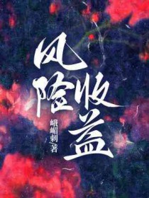 风险收益率举例