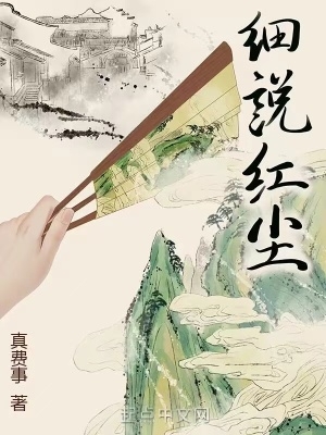 细说红尘小说无防盗