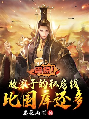 败家子资产比国库还多 小说