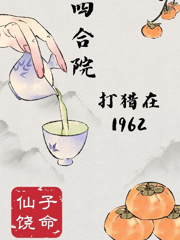 四合院的视频