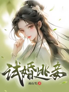 试婚夫妻【百年闪婚主题书】 小说