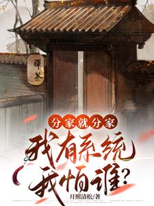 我想分家