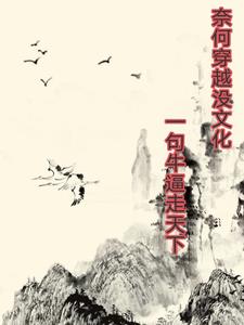 奈何实在没文化