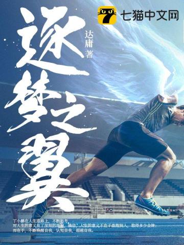 逐梦之翼皮肤多少钱