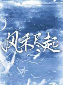 风禾尽起张居正上映时间