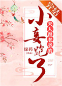 夫人跟老爷的小妾跑了百度网盘