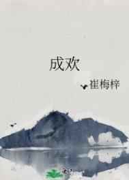 成欢老师怎么样